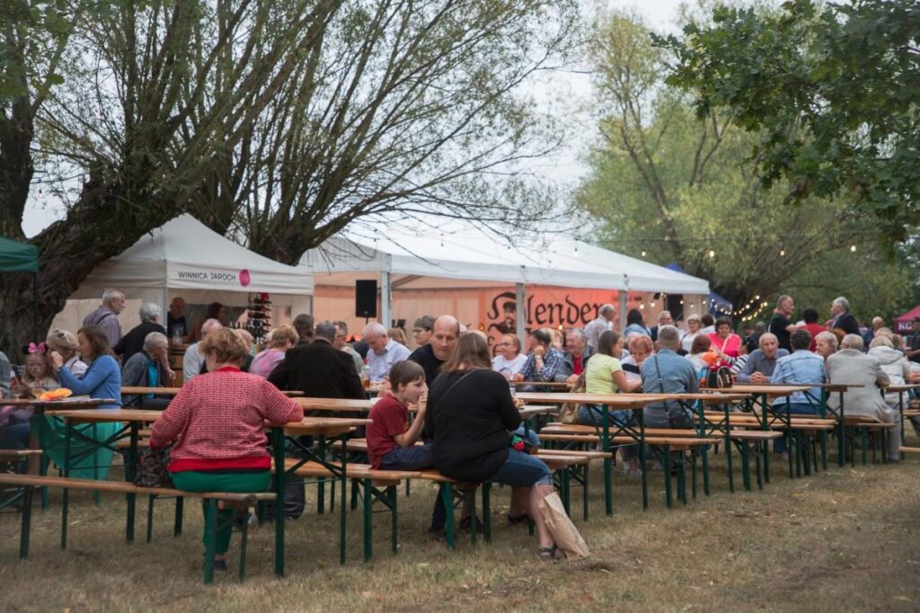 MWS partnerem Festiwalu Powideł Olenderskich - Olenderfest — 28