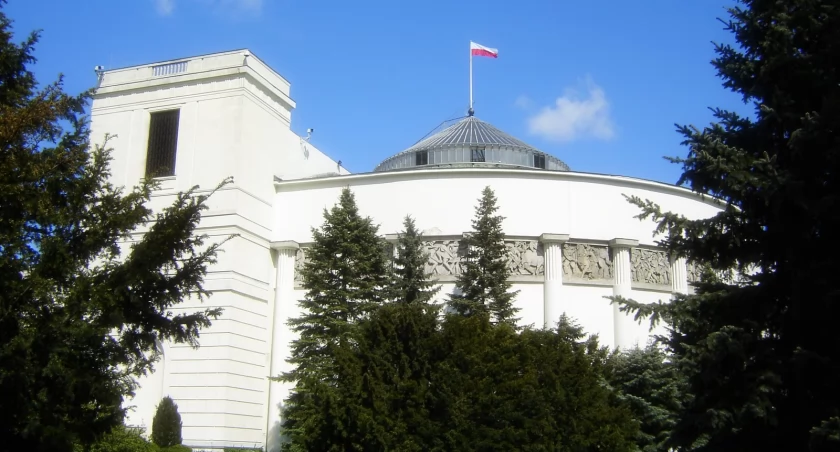 Sejm dla dublerów: kto wchodzi za mało głosów? - Niewiele głosów potrzeba, aby zasiąść w Sejmie, jak pokazują przykłady Marii Koźlakiewicz czy Magdaleny Roguskiej. Politycy z drugiego szeregu w parlamencie.