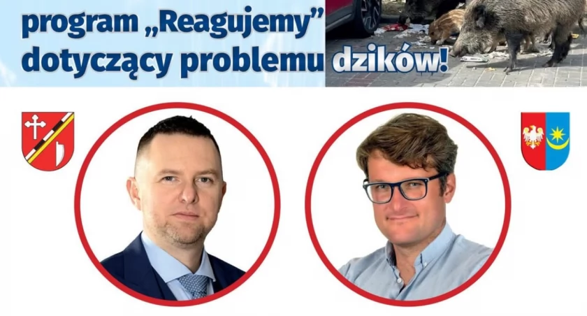 Problem dzików - już dziś w TVP3 Warszawa