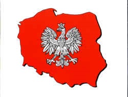Konstytucja o samorządzie bredzi....