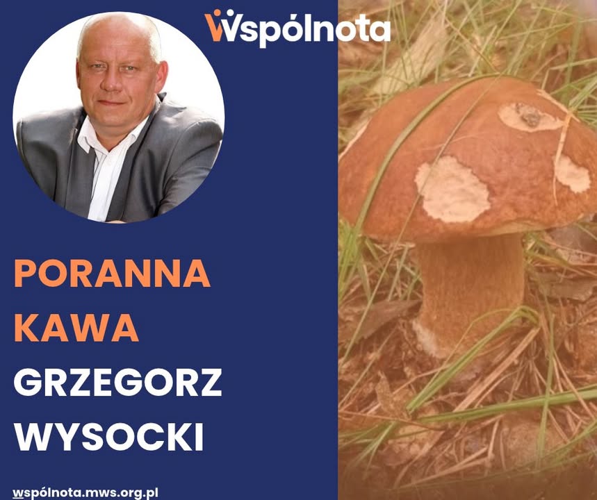 🍄 Grzybki i rybki 🎣 Od stuleci jesień to czas grzybobrania. Prosta sprawa – jedziemy do la…
